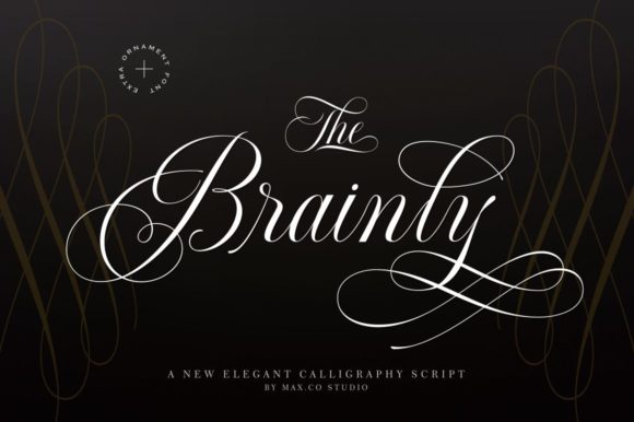 Brainly: A Designer’s Honest Review of This Script Typeface
