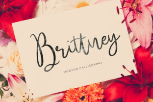 Brittney Font: A Modern Calligraphy Typeface for Web Design