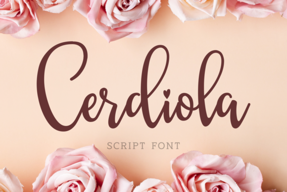 Cerdiola: A Designer’s Honest Review