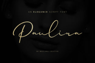 Paulina: A Handwritten Font for Modern Web Design