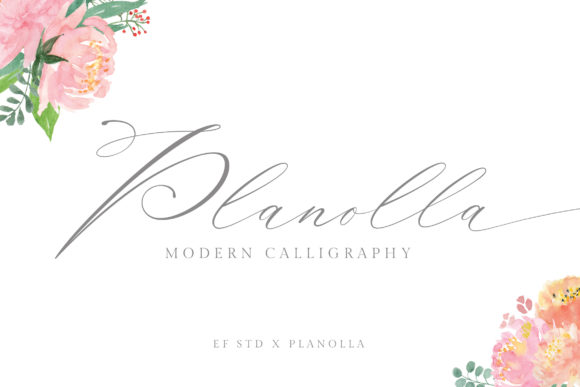 Planolla Font: Elevating Brand Identity with Timeless Script