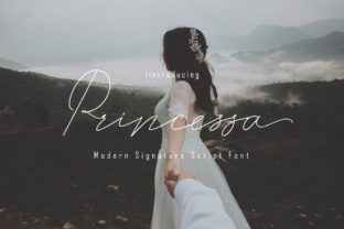 Princessa: A Romantic Script Font for Web Design
