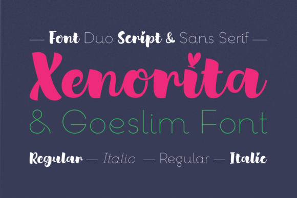 Xenorita Goeslim Duo: A Versatile Typeface for Web Design
